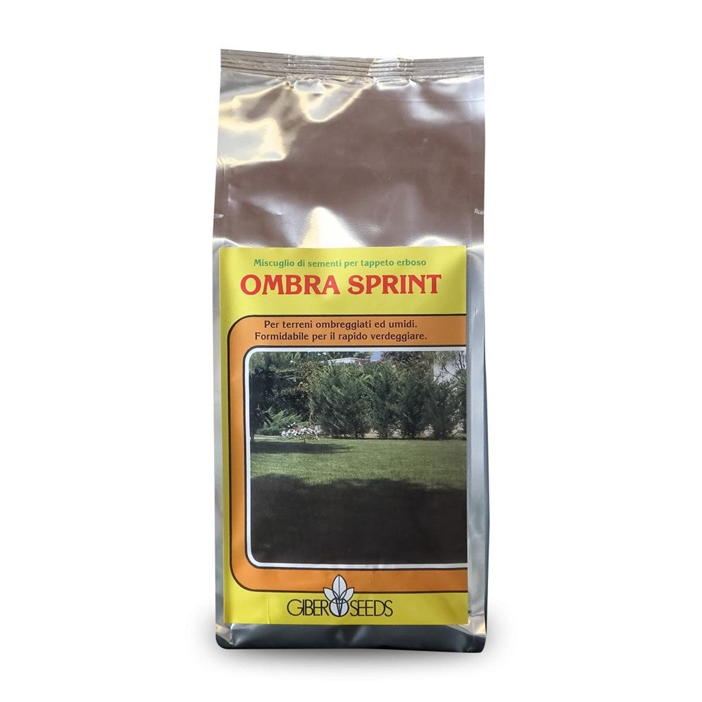 MISCUGLIO SEME GIBER SEEDS OMBRA SPRINT - da Kg 1 a Kg 5