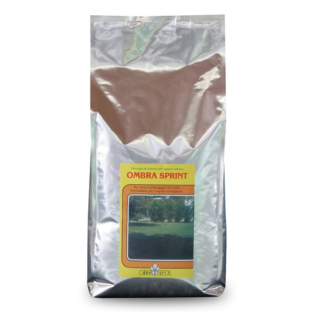 MISCUGLIO SEME GIBER SEEDS OMBRA SPRINT - da Kg 1 a Kg 5