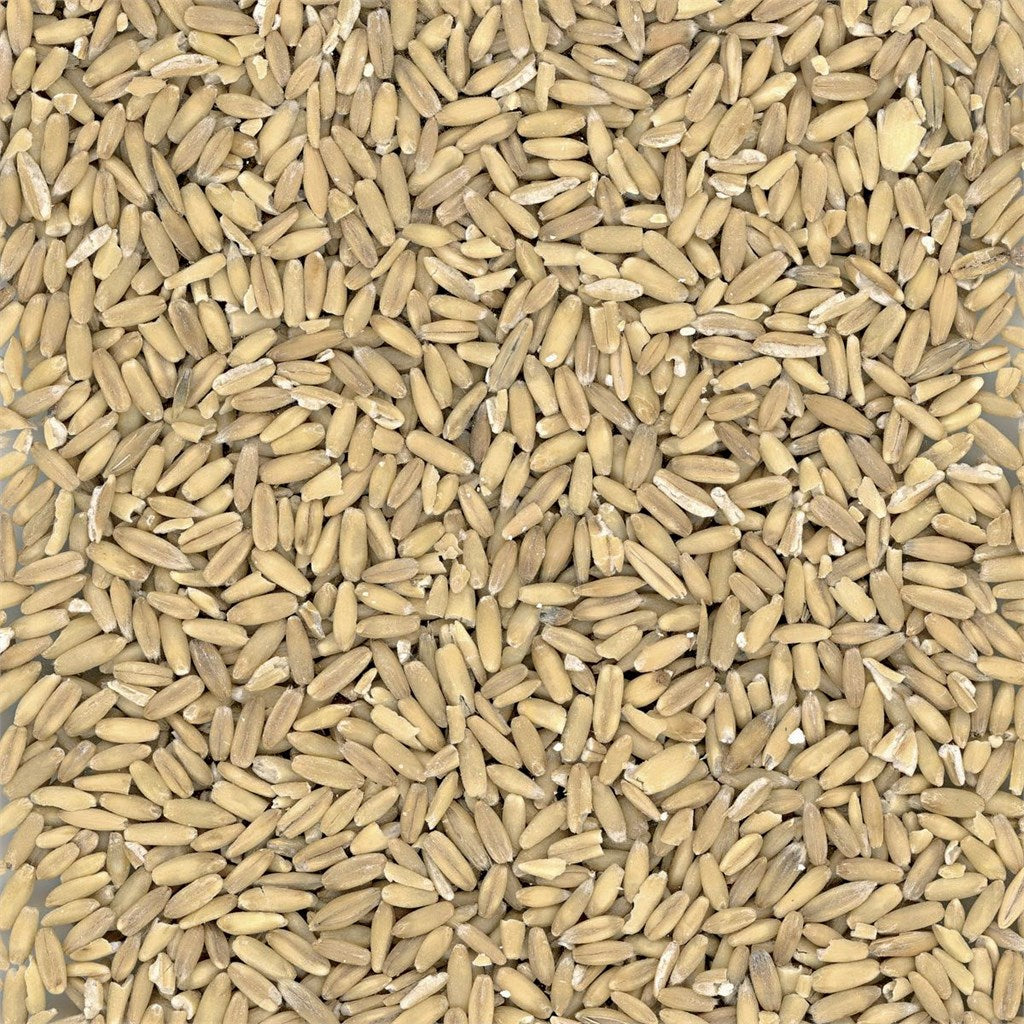 AVENA DECORTICATA - Kg 20