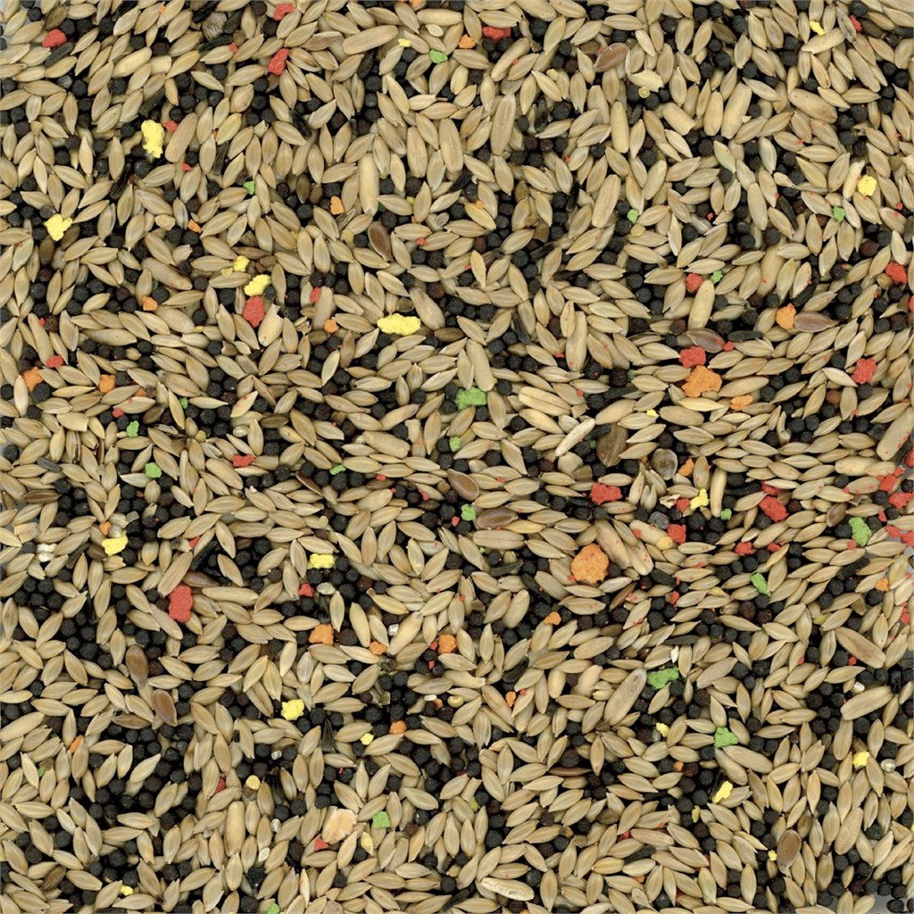 MISTO CANARINI BISCUIT MANITOBA - Kg 1 - Kg 4 - Kg 20