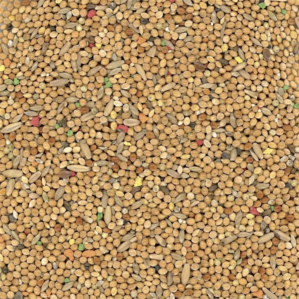 MISTO COCORITE BISCUIT MANITOBA - Kg 1 - Kg 4 - Kg 20