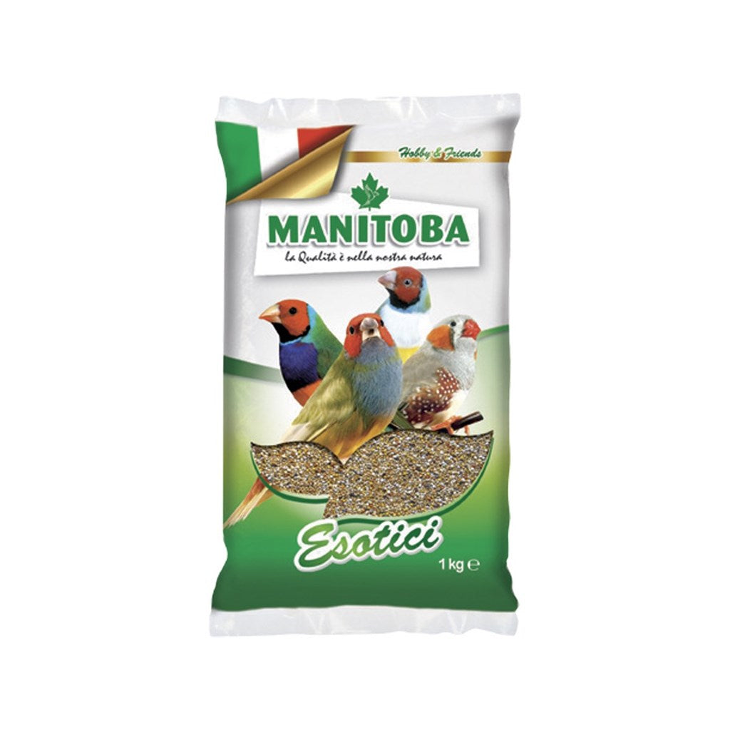 MISTO ESOTICI MANITOBA - Kg 1 - Kg 4 - Kg 20