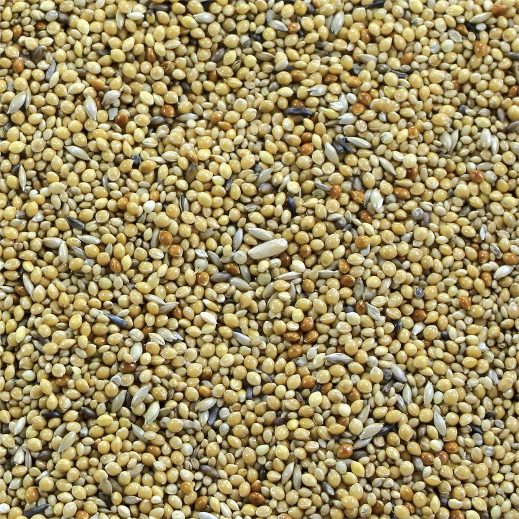 MISTO ESOTICI MANITOBA - Kg 1 - Kg 4 - Kg 20