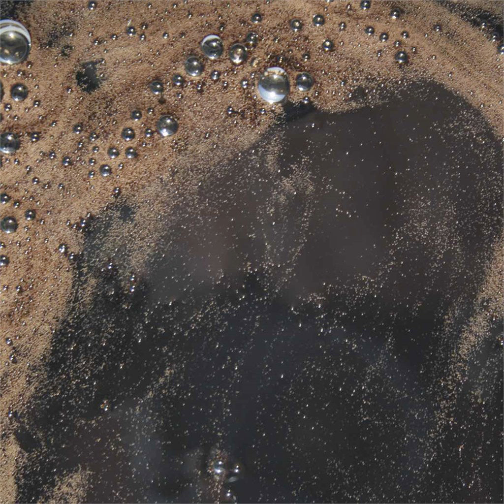 AGRISTIMOL PLUS LIQUIDO VITAVERDE - Kg 1 - BIO