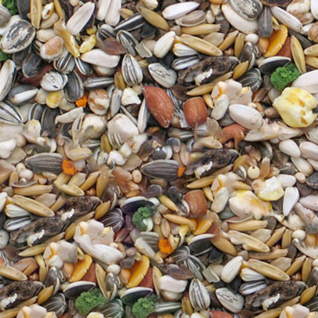 ALL PARROTS PAPPAGALLI MANITOBA - Kg 15