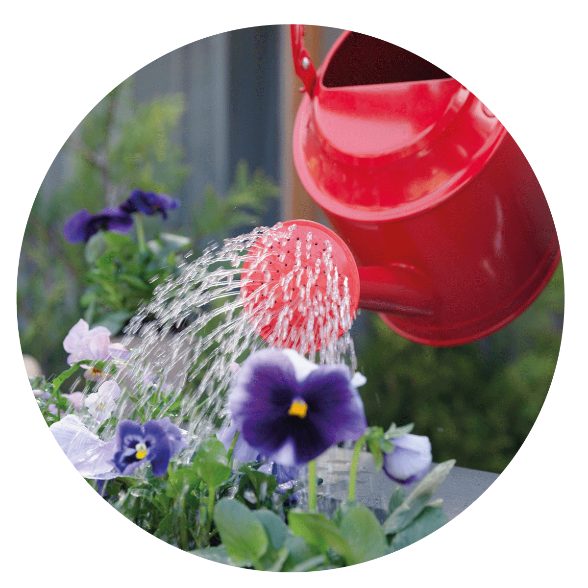 AGRISTIMOL PLUS LIQUIDO VITAVERDE - Kg 1 - BIO