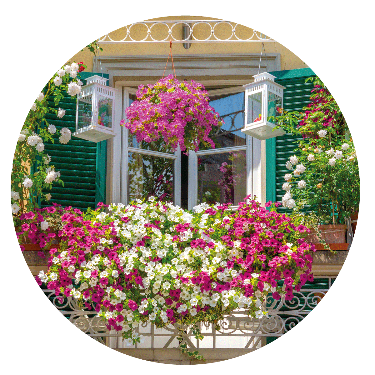 VIGORFIORI FLOW VITAVERDE - ml 500