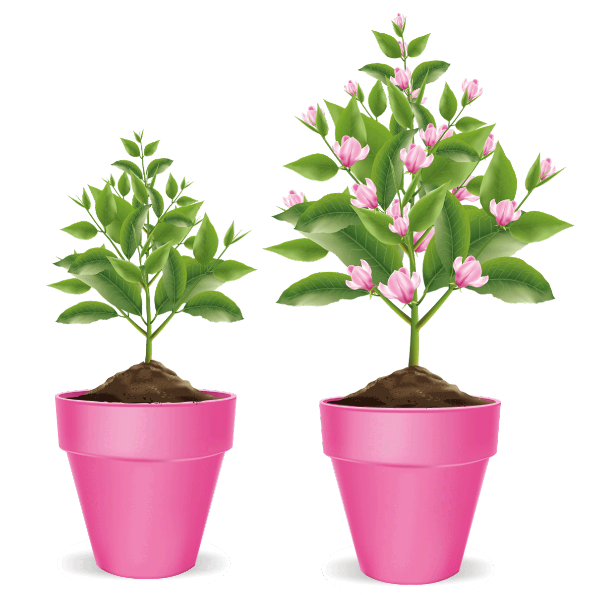 VIGORFIORI FLOW VITAVERDE - ml 500