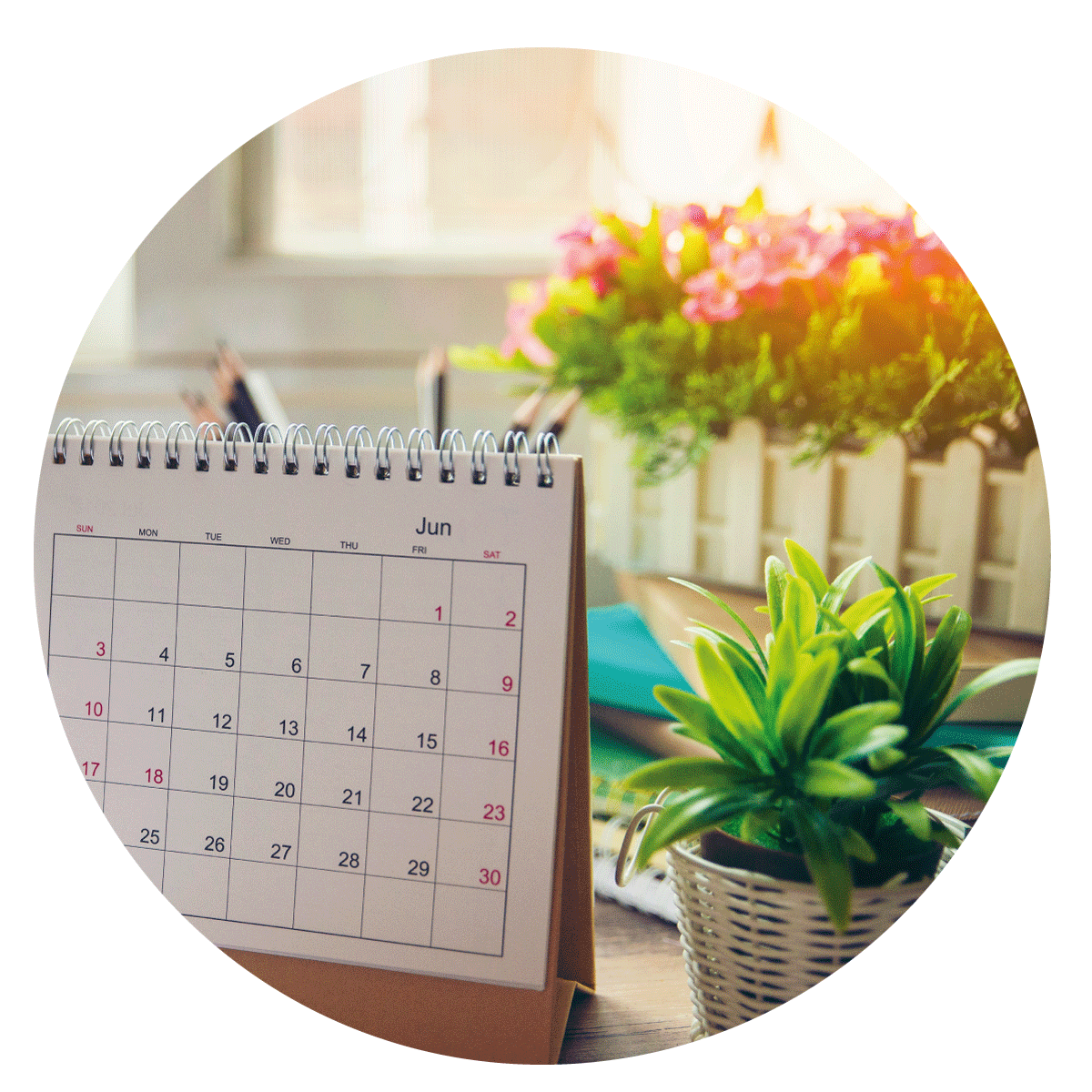 VIGORPRATO ANTISTRESS VITAVERDE - Kg 5 e Kg 25