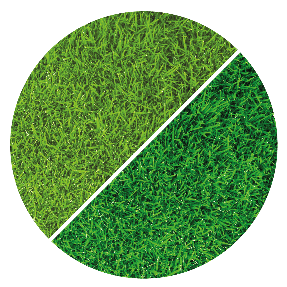 VIGORPRATO UNIVERSALE VITAVERDE - Kg 5 e Kg 25