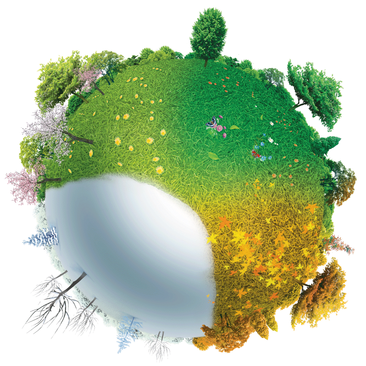 VIGORPRATO UNIVERSALE VITAVERDE - Kg 5 e Kg 25