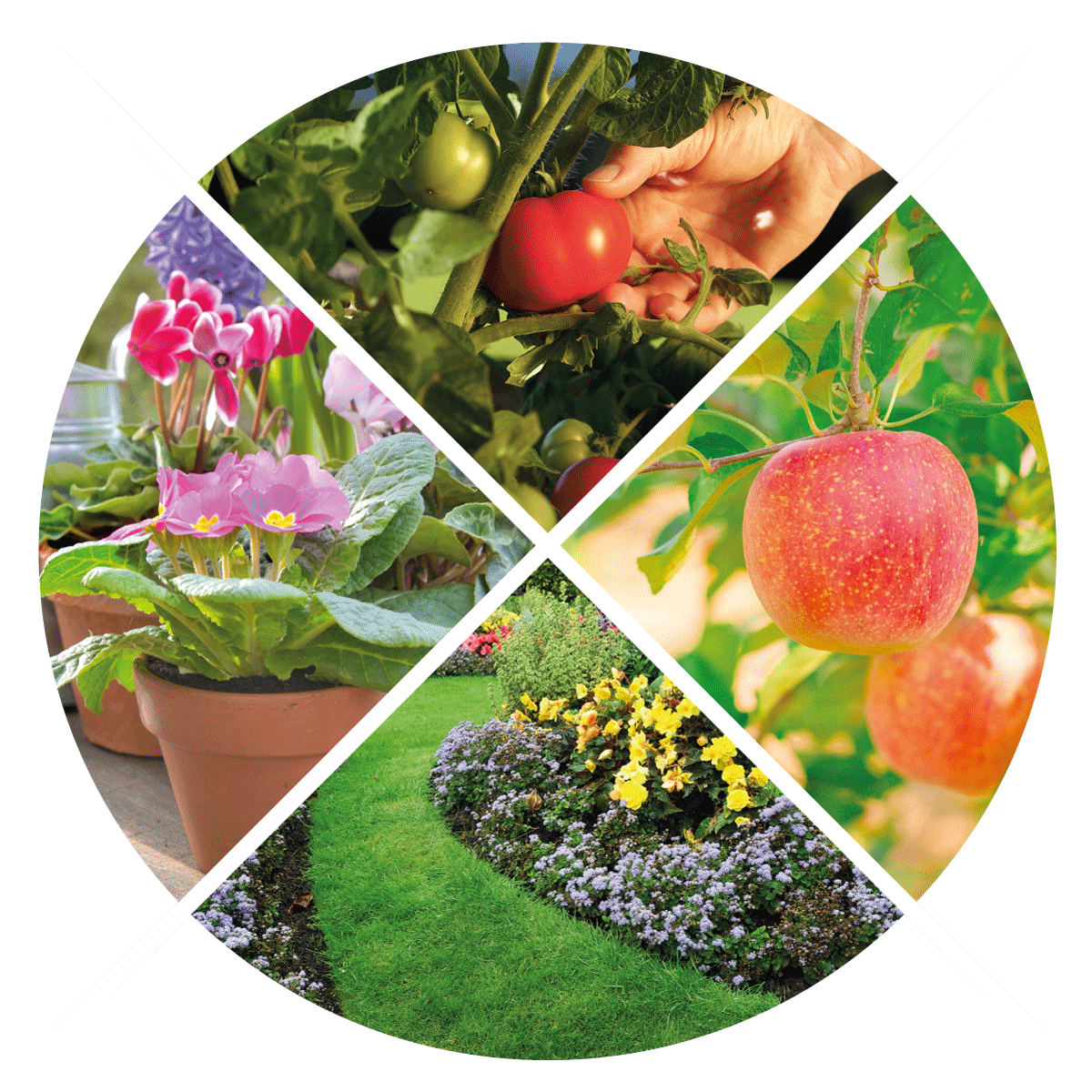 VIGORFER VITAVERDE - Kg 1, Kg 5, Kg 10 e Kg 25