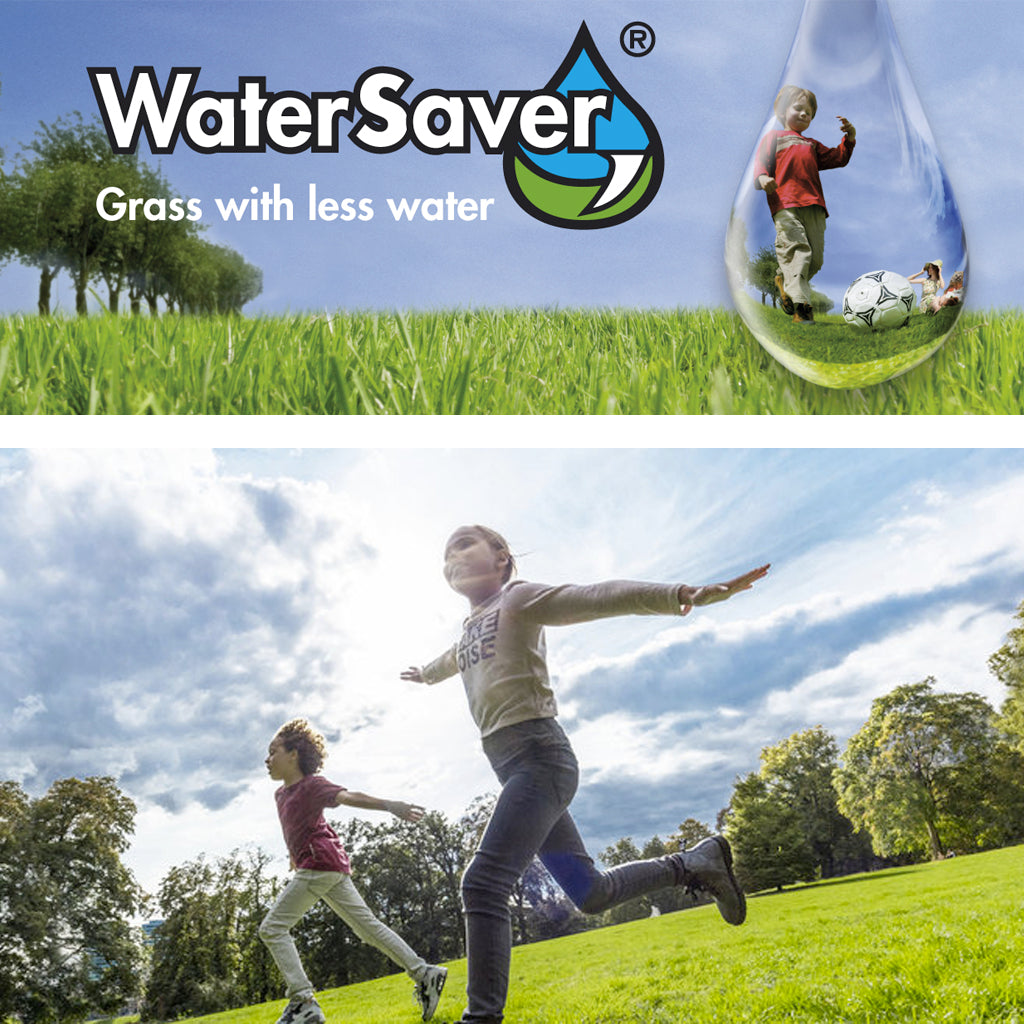 MISCUGLIO SEME BARENBRUG WATER SAVER - varie confezioni