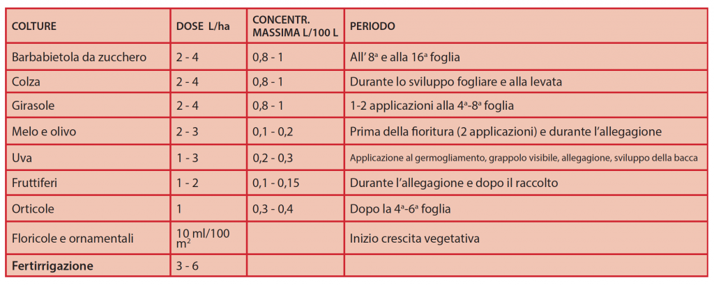 ETABOR 11 OPEN GREEN - lt 1