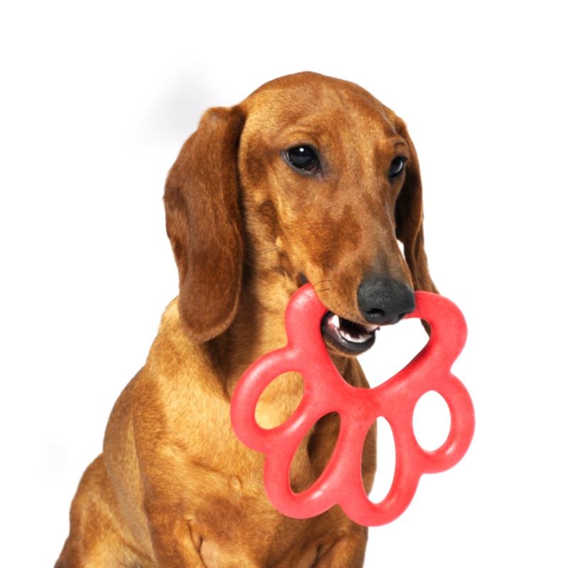 GIOCHI CANI ORMA - varie misure