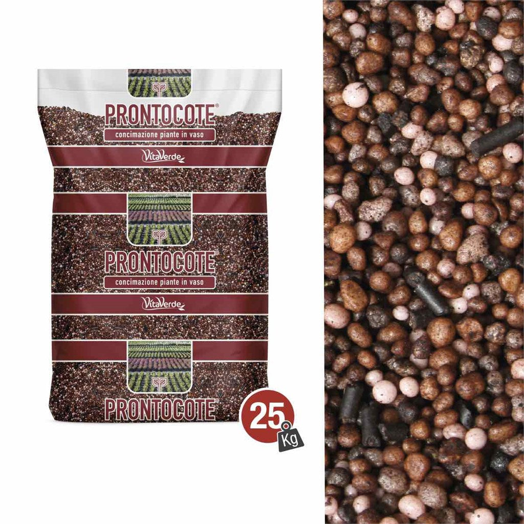 N. 1 PRONTOCOTE 6S (22-8-7,5+3,3Mg+Fe) - 6 MESI - con collante - Kg 25