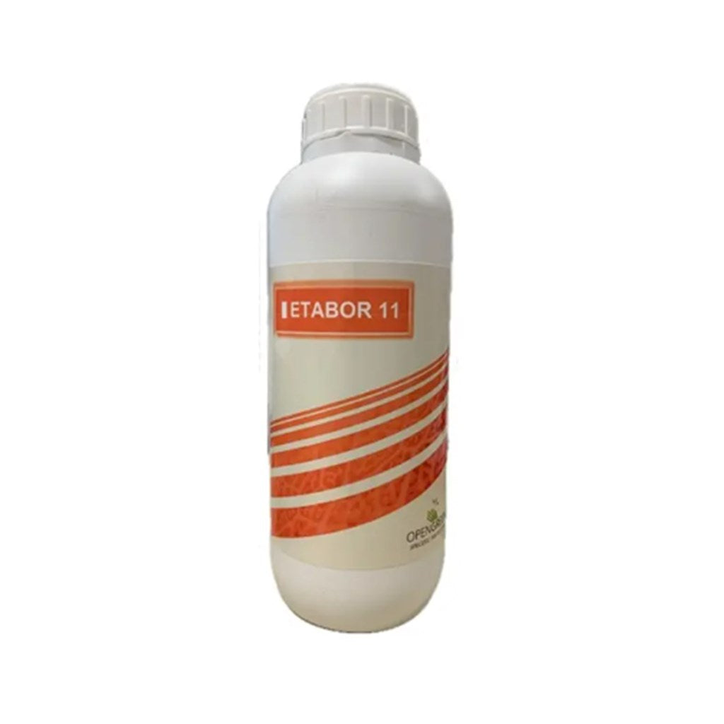 ETABOR 11 OPEN GREEN - lt 1