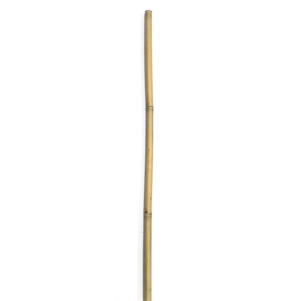 CANNE DI BAMBOO H cm 235/240 - vari diametri