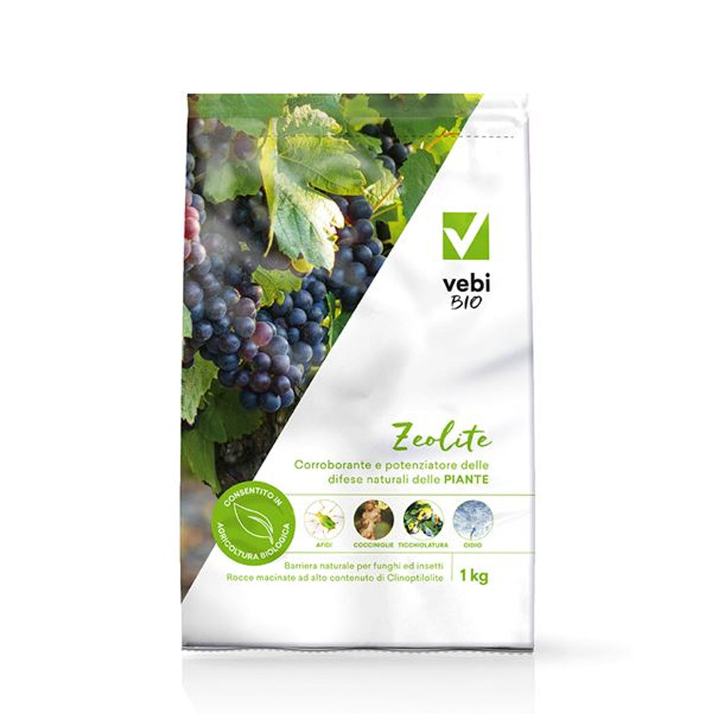 ZEOLITE VEBI - Kg 1 - BIO